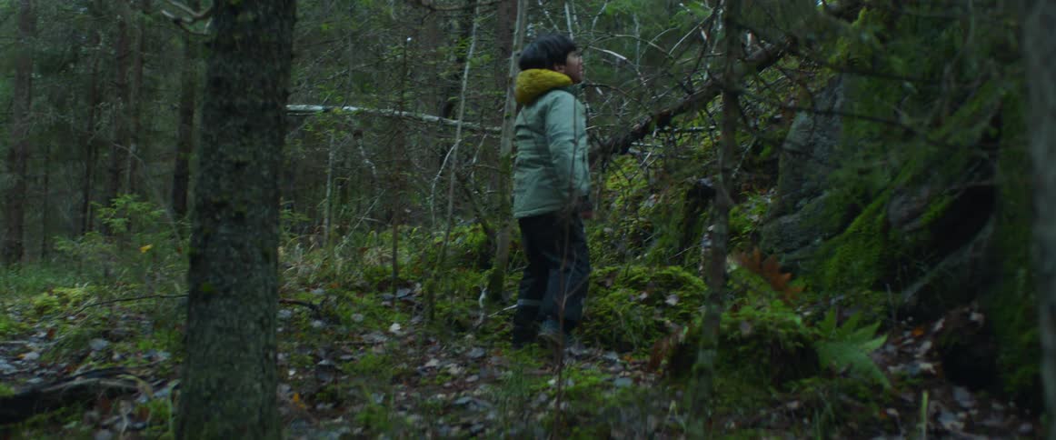 A young boy is climbing up a hill in the forest