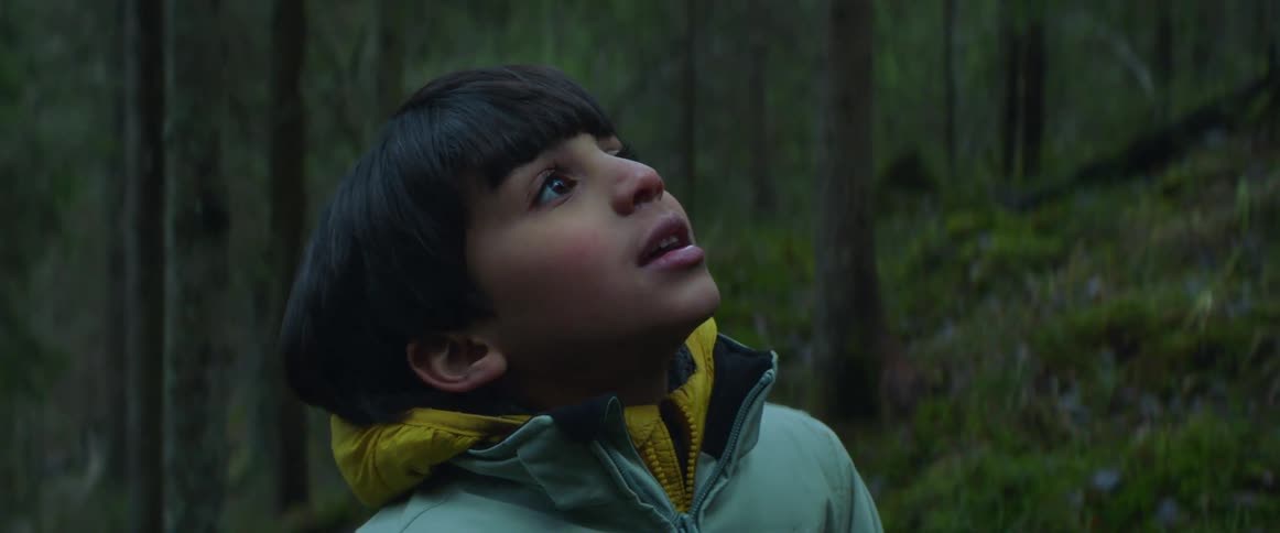 Cute little boy wearing blue jacket with yellow hood looking up in the forest