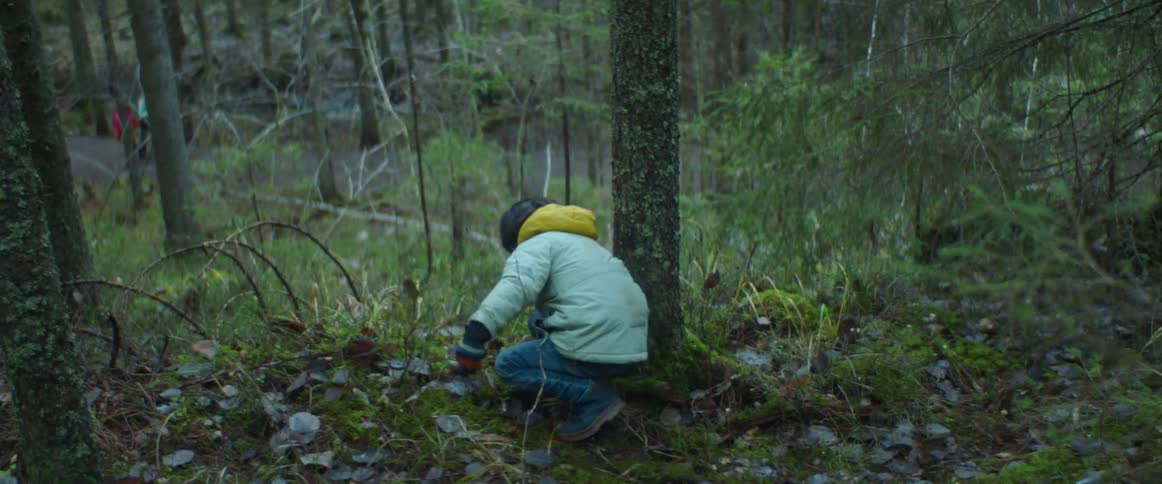 A little boy finds pine cones and throws them down the hill in the woods