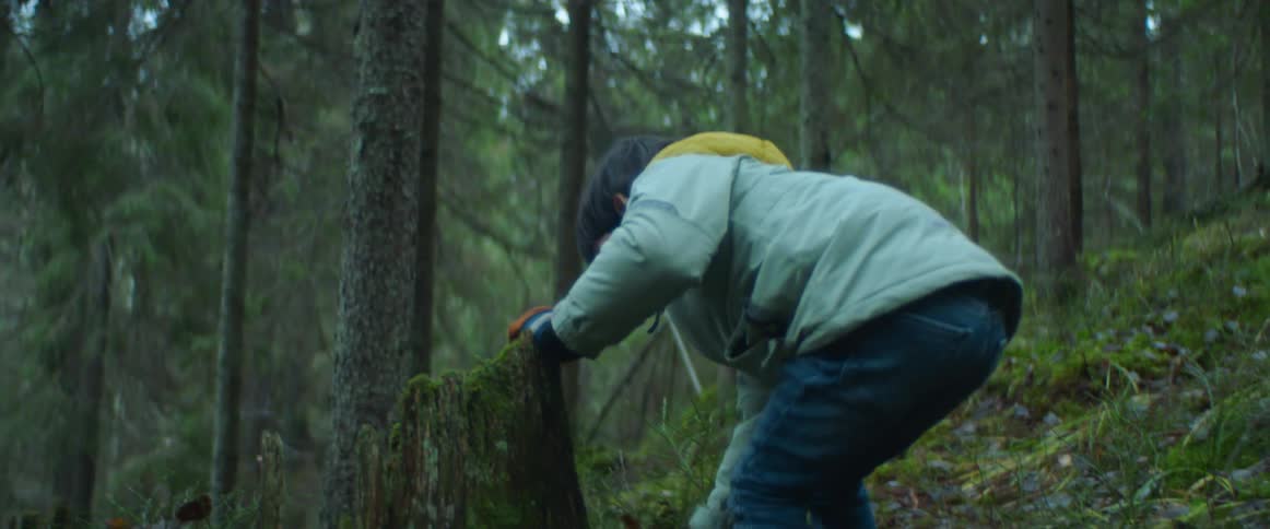 A young boy is playing in a forest and he bends down and picks up a rock near a tree stump