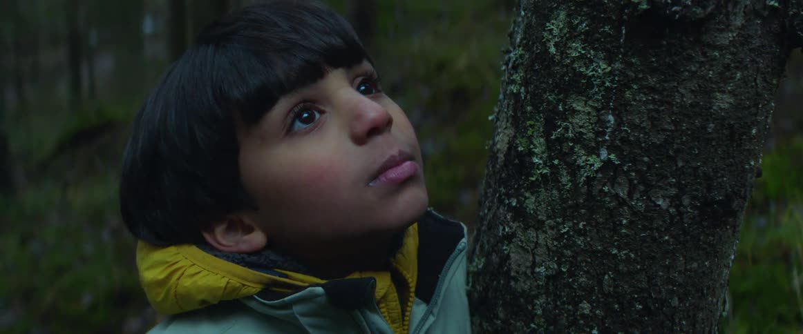 A boy looks up as he stands against a tree in the forest