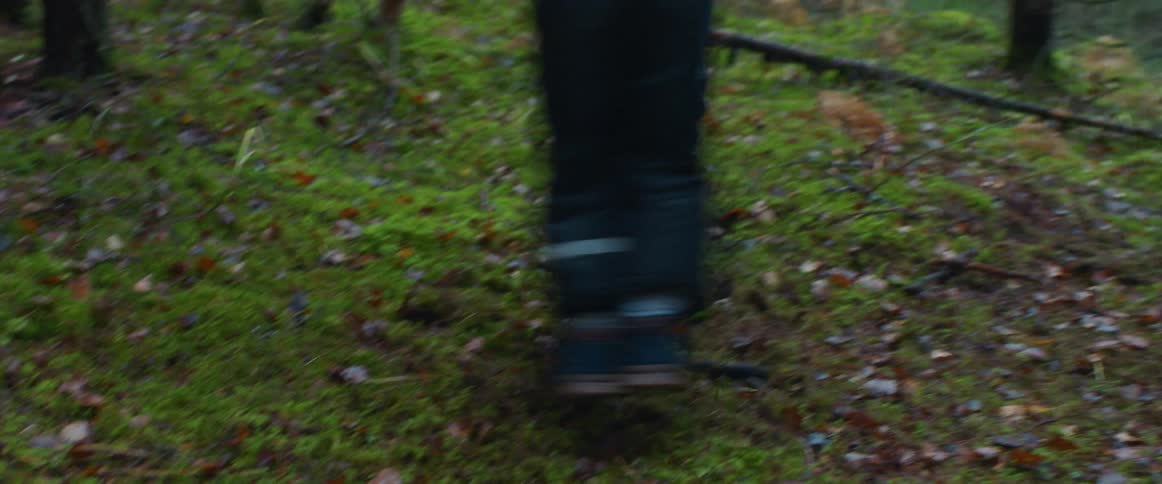 A man swings a child around in the forest