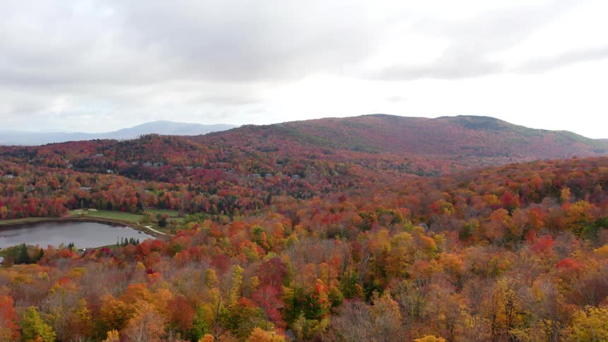 Houses by lake are surrounded by a forest of trees with bright fall colored leaves and mountains in the distance
