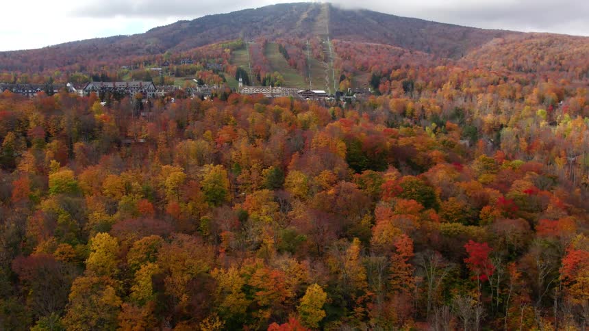 Aerial view of a neighborhood in a forest of trees with bright fall colored leaves and mountains in the distance