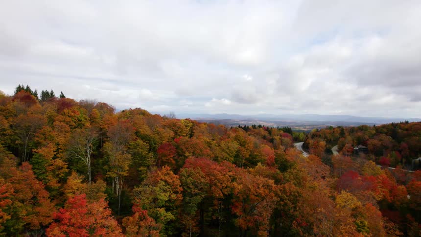 Roads near a forest of trees in beautiful fall colors and mountains in the distance under a cloudy sky