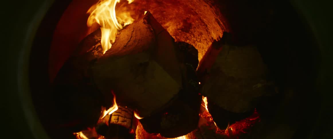 Firewood burns in a wood furnace