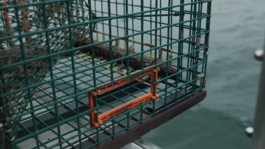 The cage is on the side of the moving boat