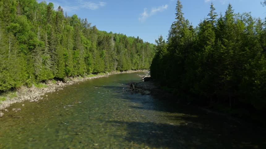 The sun shines on a shallow river running though a forest