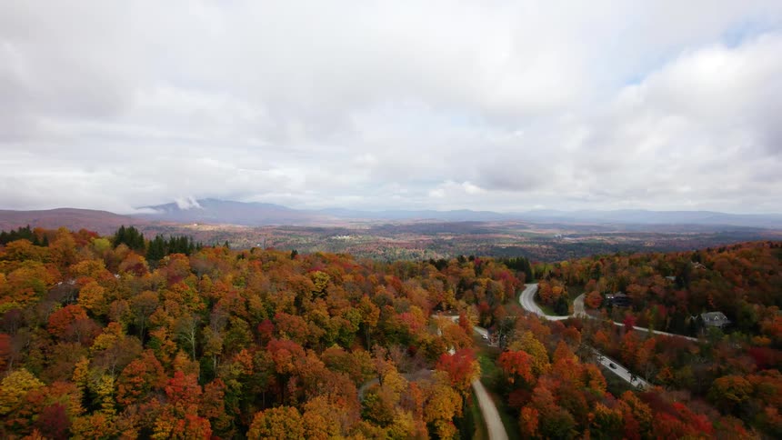 Roads run through a forest of trees in beautiful fall colors under a cloudy sky
