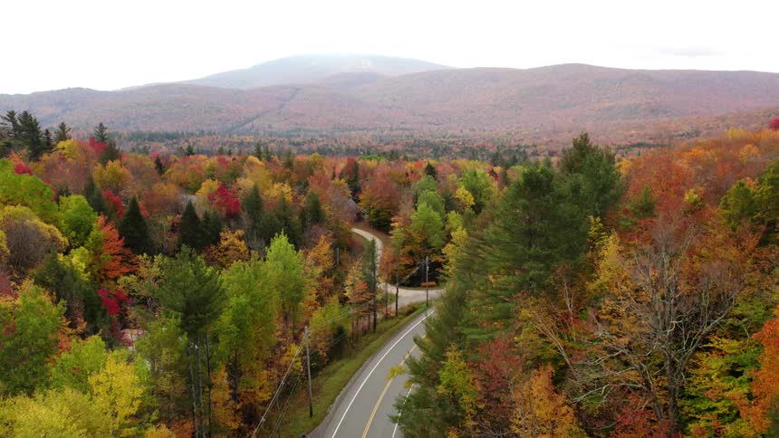 A road runs through a forest of trees in beautiful fall colors under a cloudy sky with mountains in the distance