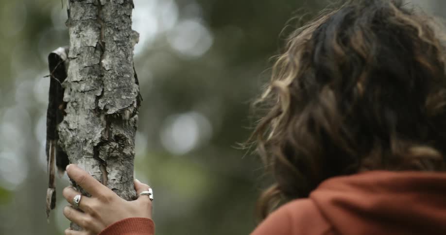 A woman touches a tree glancing upwards before walking on
