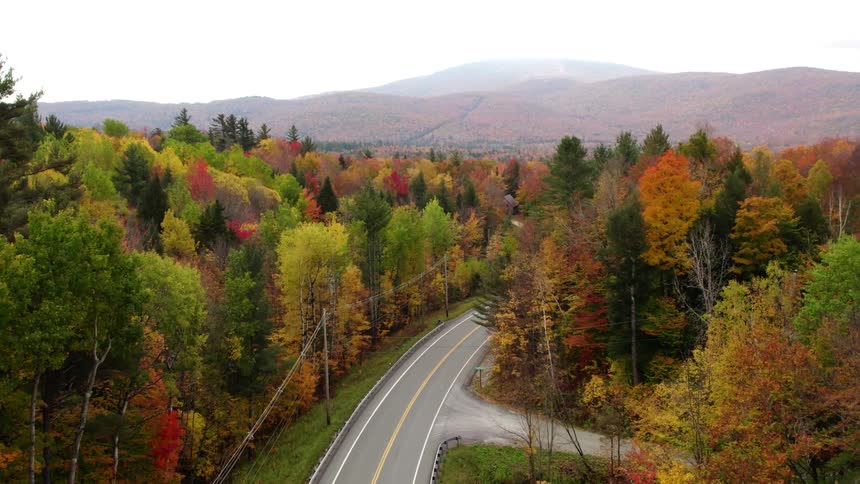 Aerial view of autumn forest with highway on cloudy day