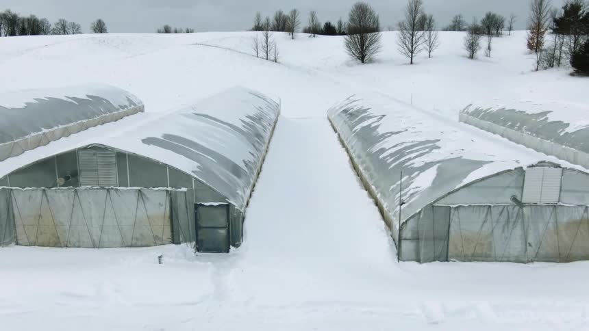 Rows of greenhouses on a snowy field