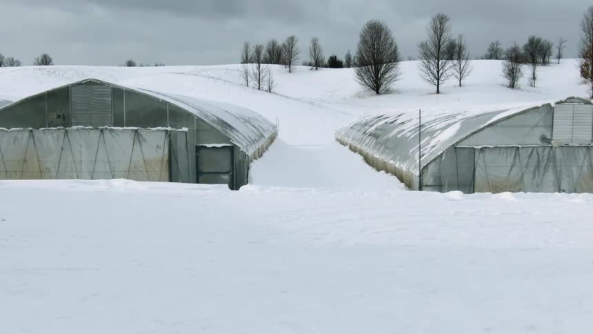Greenhouses in a snowy field