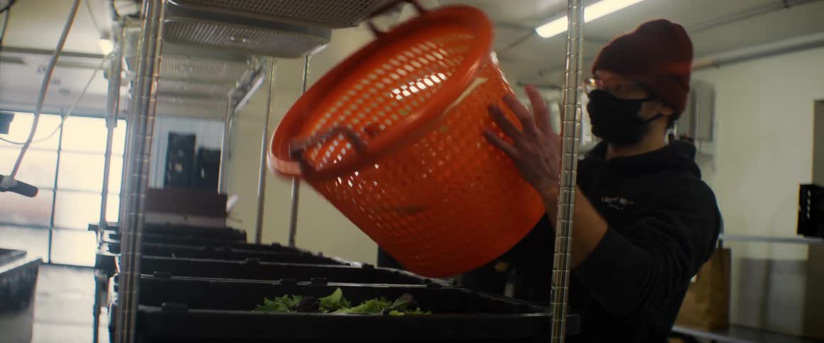 A man empties a bin of greens in the restaurant