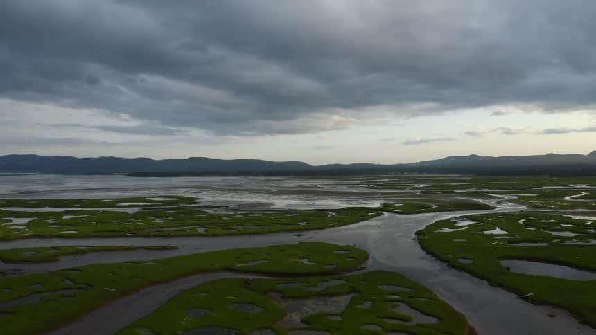 The swamp is under the heavy clouds