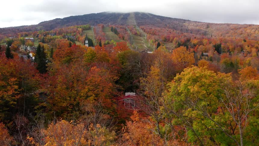 Aerial view of autumn forest next to countryside and car park on cloudy day