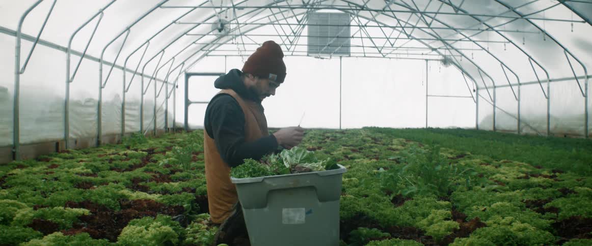 A man is working inside a greenhouse putting plants into a container