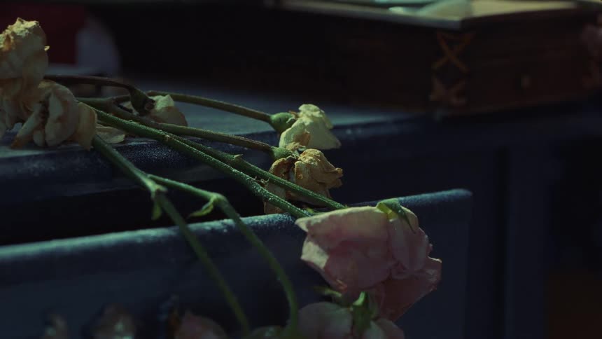 Roses rest on a headstone