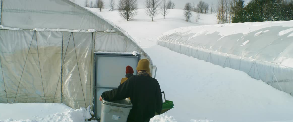 A man and woman are carrying containers into greenhouse on a farm during the winter