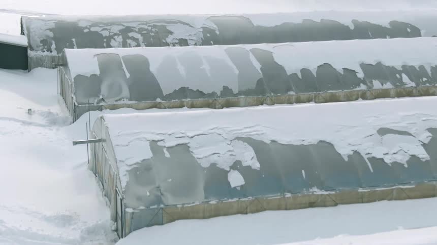 A blanket of thick snow covers the ground and tops of grain silos on a farm