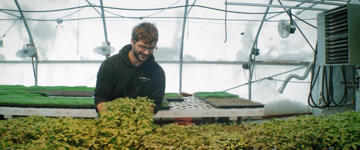 A gardener is working in a greenhouse putting plants on a table