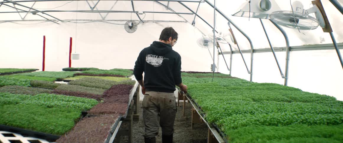 A farmer grabs some grass from the greenhouse