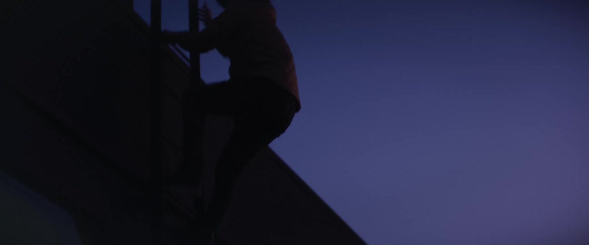 A man climbs up a utility ladder outside a tall city building at night