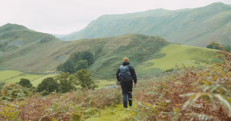 Man wearing a backpack walking down a trail in a hill covered with plants