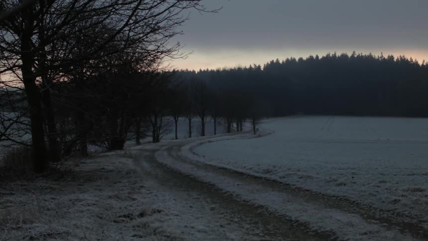 A snowy field in front of a forest near sunset