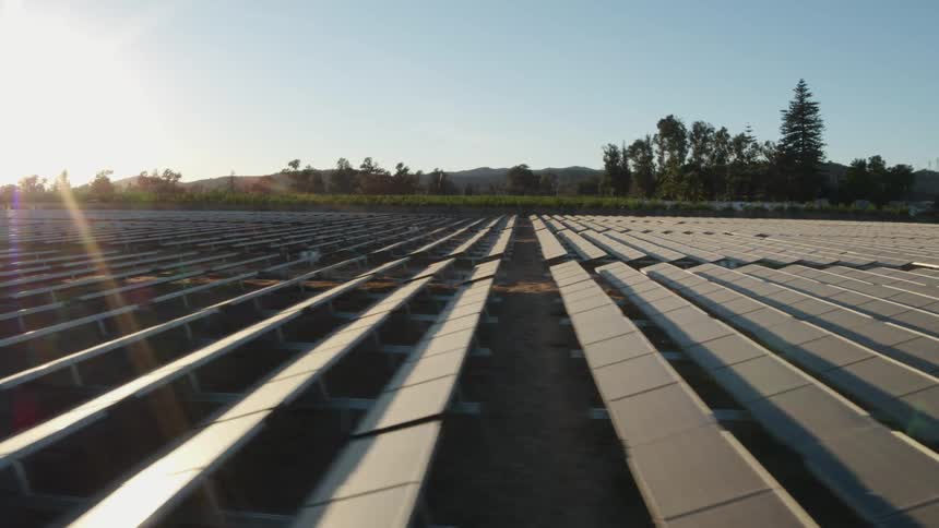 The sun is shining brightly on solar panels on a solar farm with trees in the distance