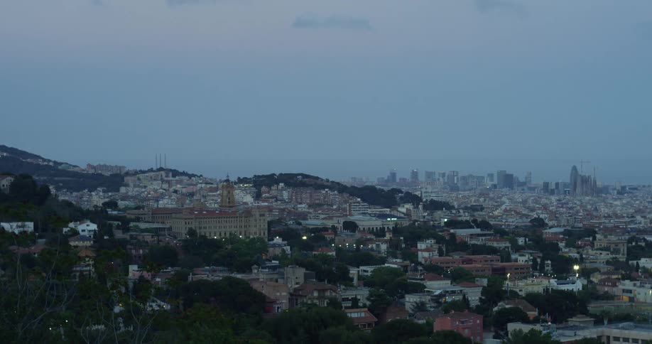 Palm trees and bend in the wind on neighborhood hills with a city skyline on the horizon