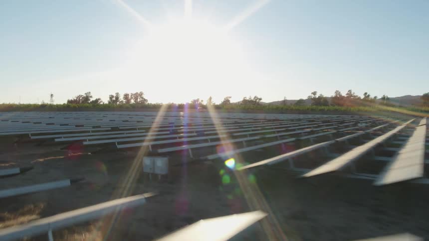 The sun is shining brightly on solar panels on a solar farm with trees in the distance