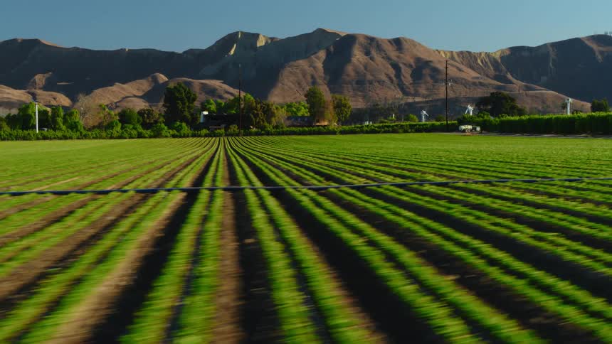 The sun is shining on rows of crops on a farm and there are mountains in the distance