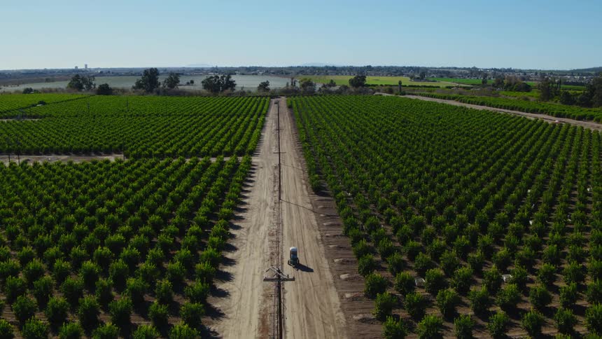 A wide look at a farm with multiple plant seem to be growing