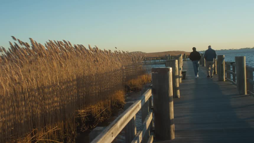 Man and woman walk along pier bordered on one side by sea grass
