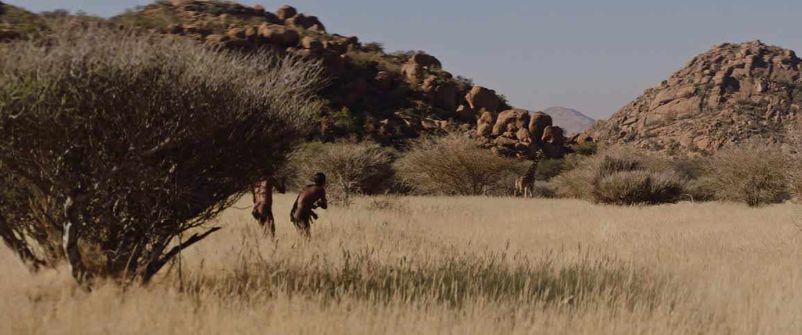 Tribal men track down giraffe