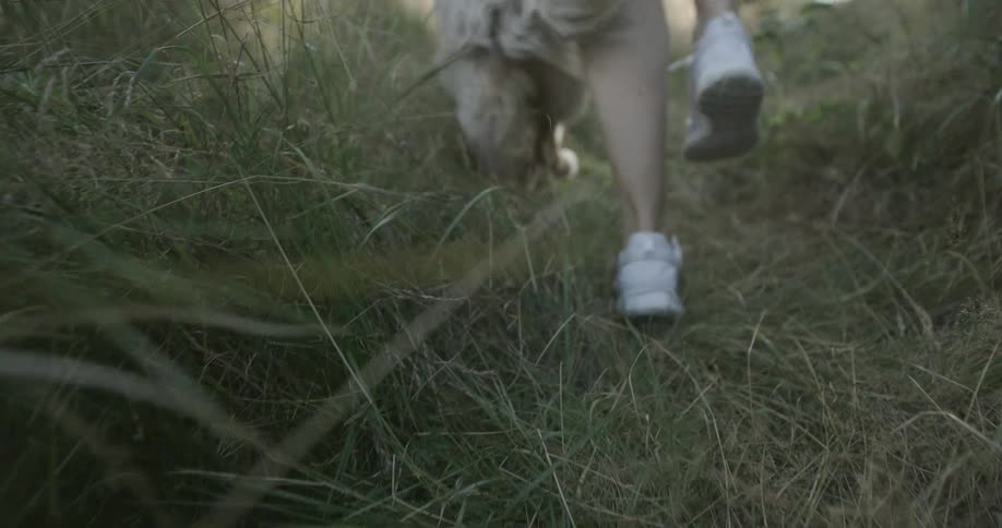 A person walks through a field behind a dog