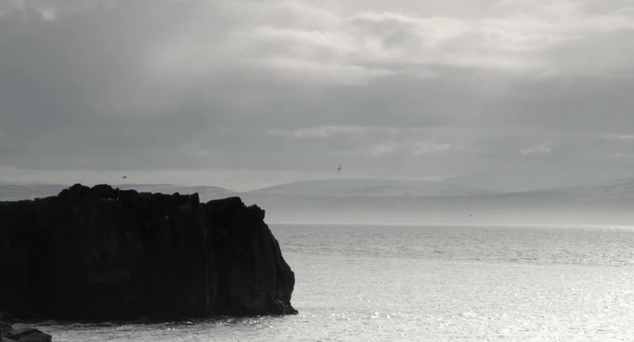 Birds flying at the water's edge on a cloudy day