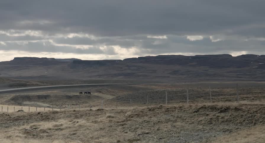 A dry, sandy area on a cloudy day