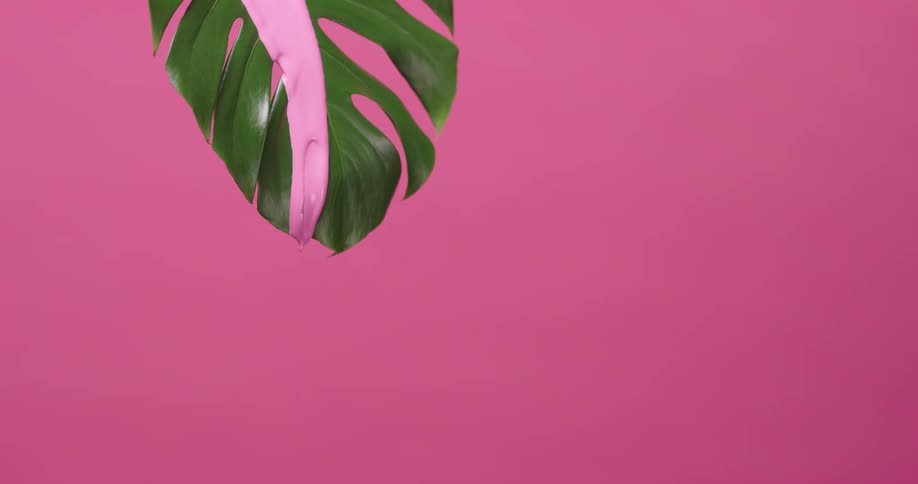 An abstract scene with a large plant leaf dripping pink paint with a pink background