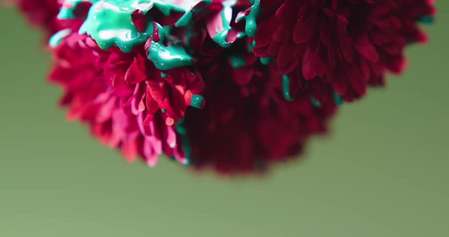 Green paint is dripping from a red carnation flower
