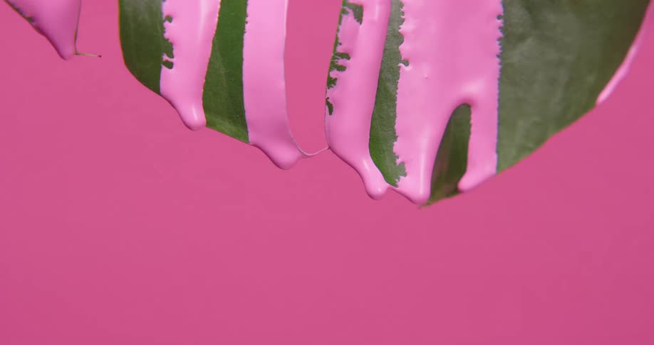Pink paint runs down the green leaves and drips