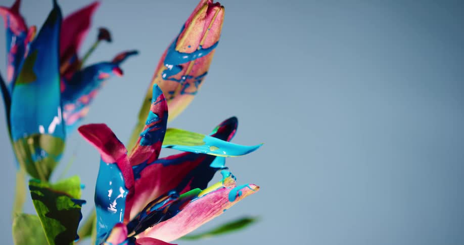 A flower covered in blue paint