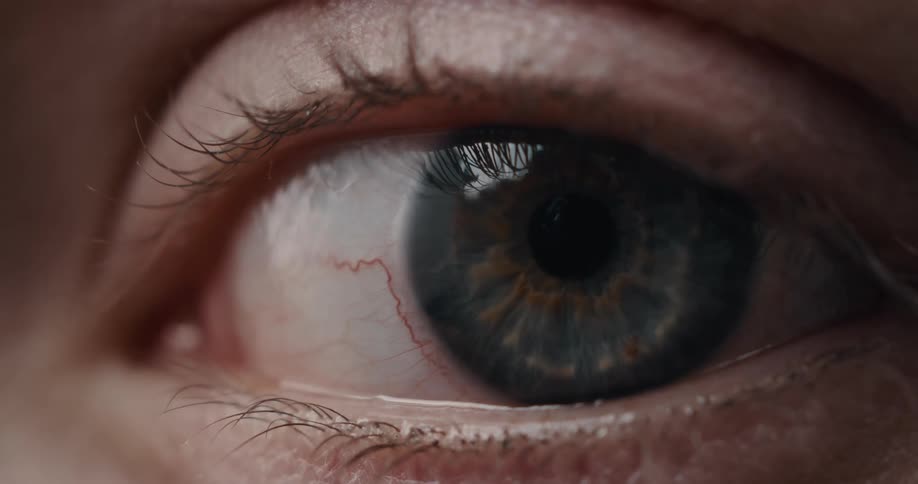 A very close view of a persons eye staring at the camera