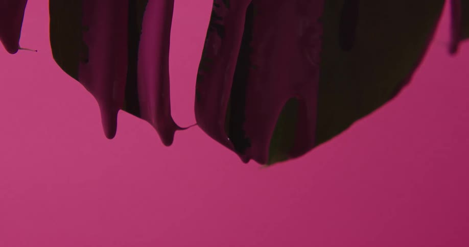 Pink paint falling through a plant leaf in front of a pink background