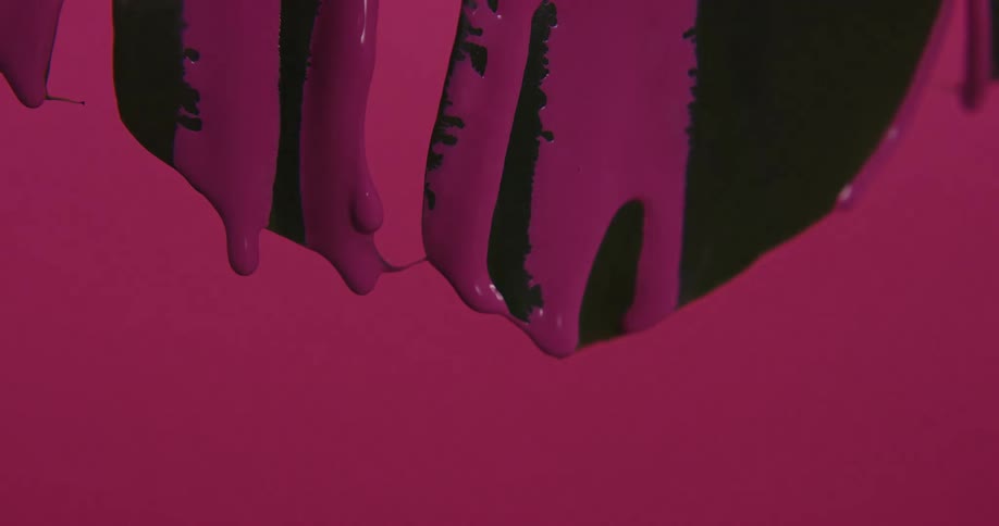 Bright pink paint drips off plant leaves against a pink background