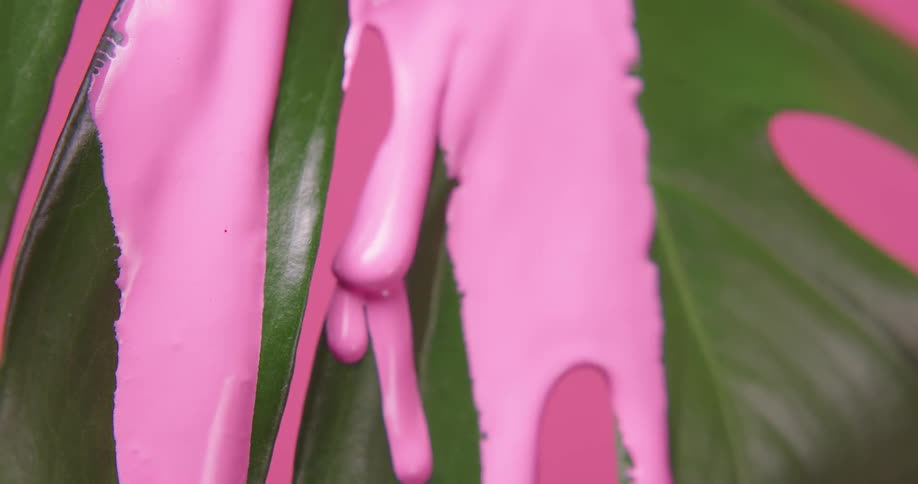 Pink paint falling down through a green plant leaf in front of a pink background