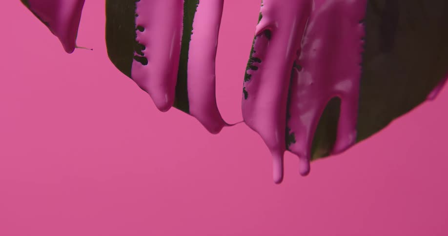 Pink paint falling down through a green plant leaf in front of a pink background