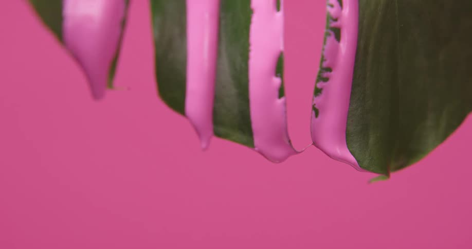 Streaks of pink paint dripping down from the green leaves
